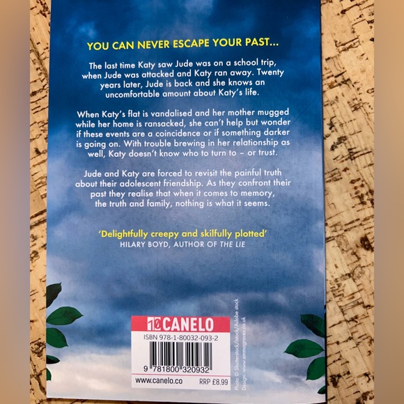 🔥4/$25 book deal🔥 The Lies We Tell by Meg Carter - Picture 2 of 2